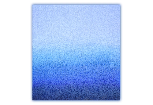 P00816