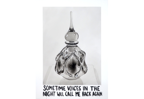 Voices in the night