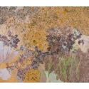 Wild Flowers On A Cliff Face