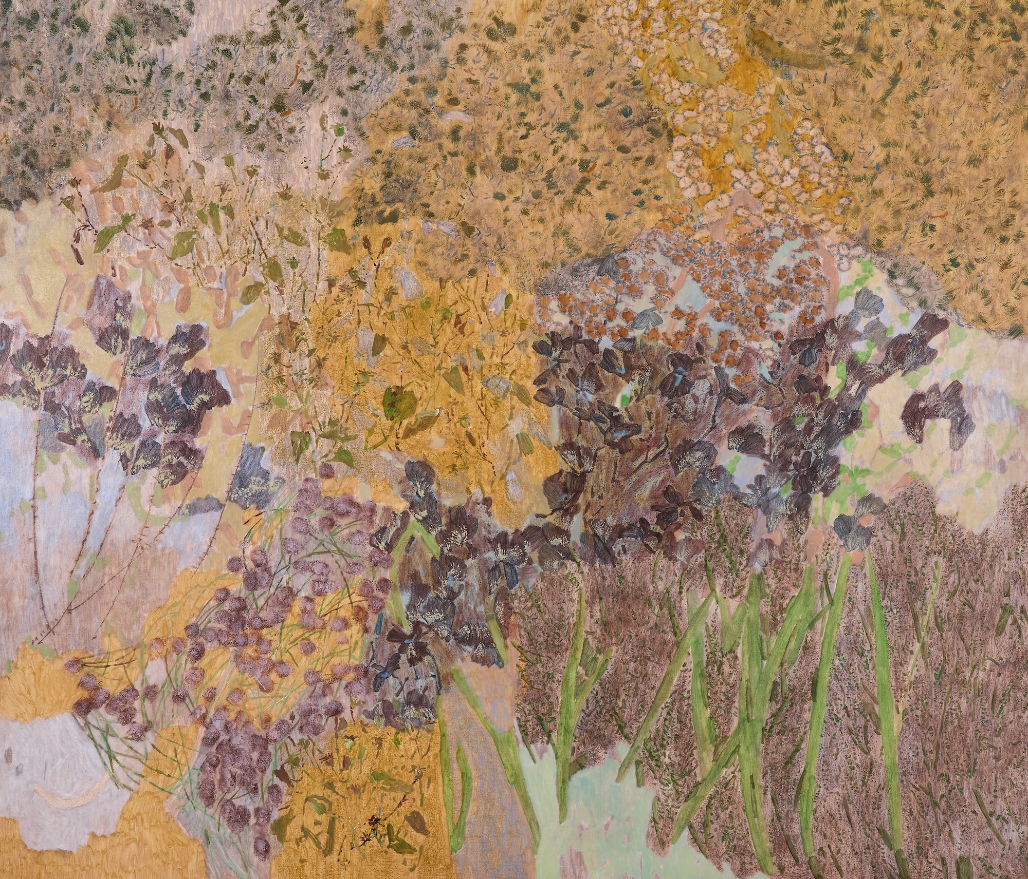 Wild Flowers On A Cliff Face