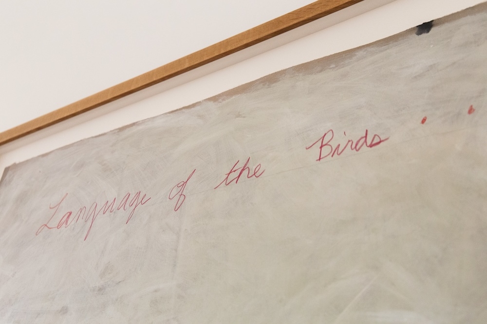 Language of the Birds 5