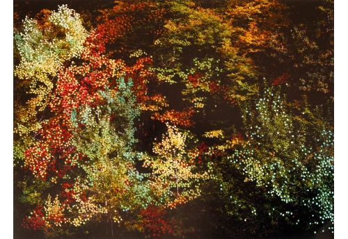 Forêt d'Automne Rouge II