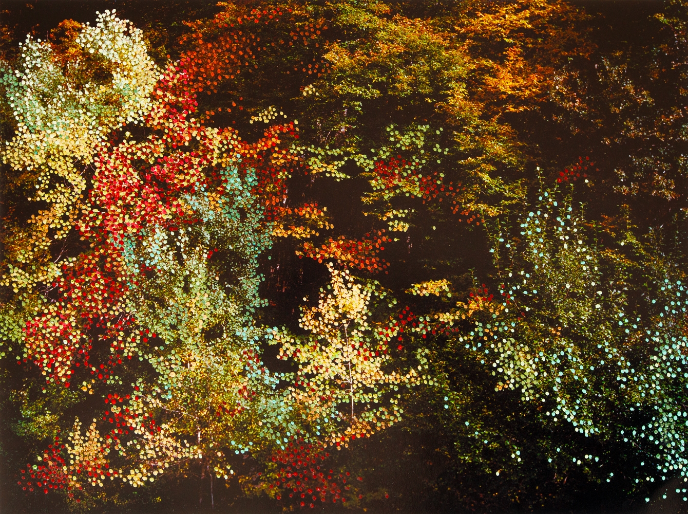Forêt d'Automne Rouge II