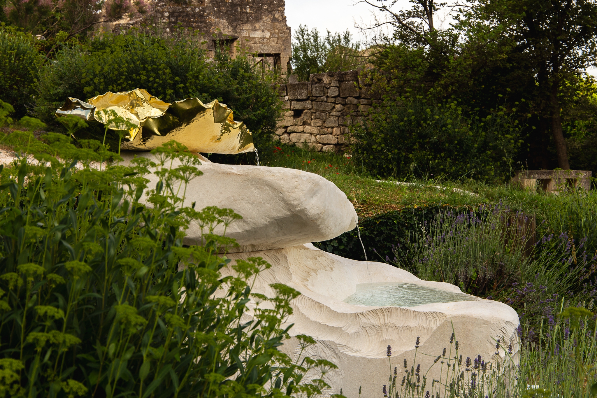 LACUS AURI - Le sanctuaire de l’eau