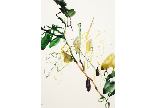 Dessin au jardin