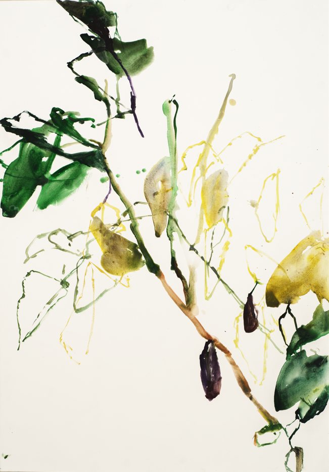 Dessin au jardin