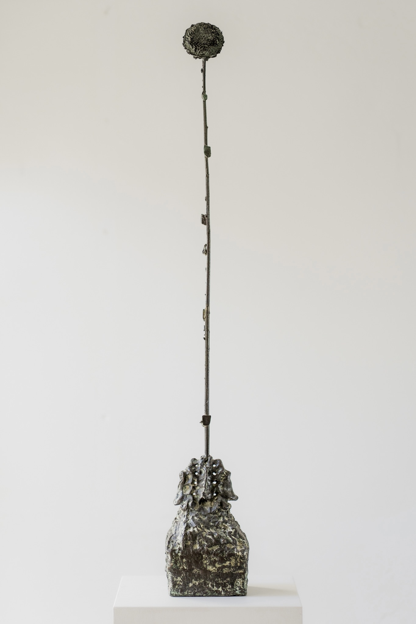 Blossom After Burial
