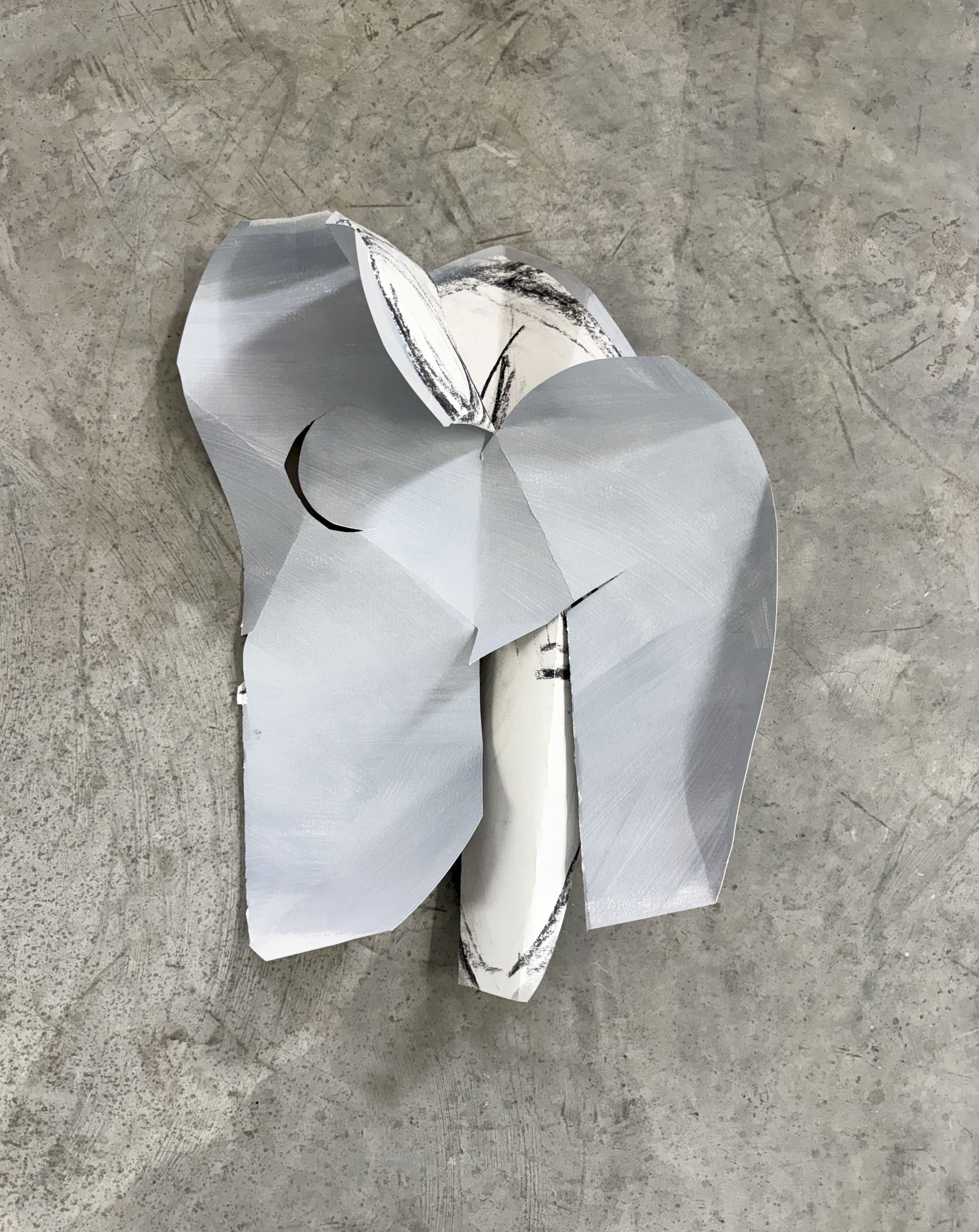 Folded Female, Gray folded form