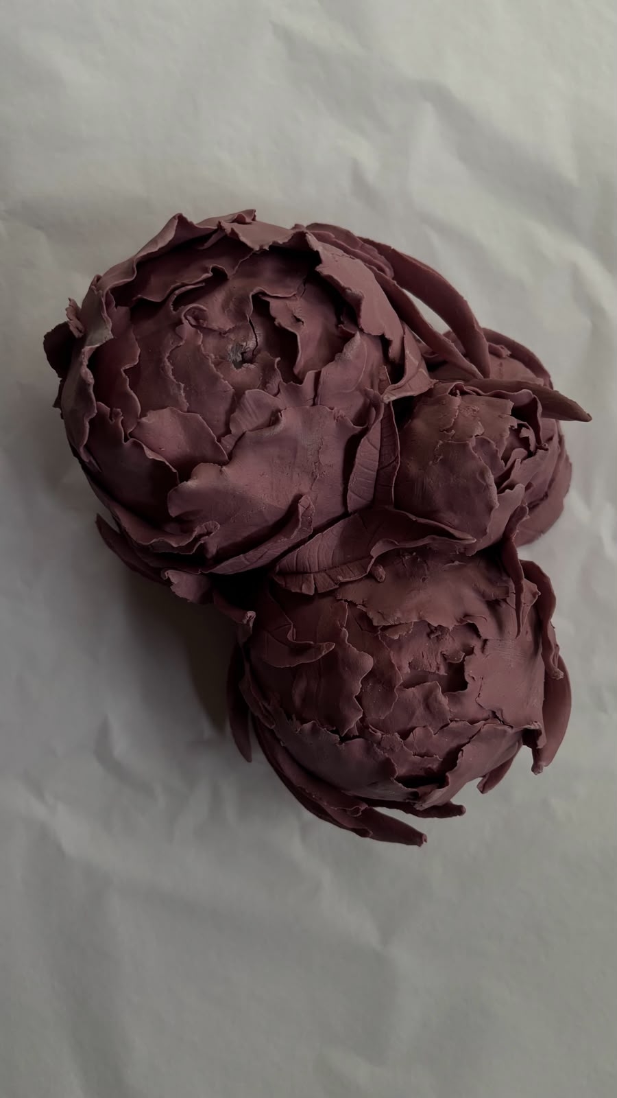 Pivoines pourpres