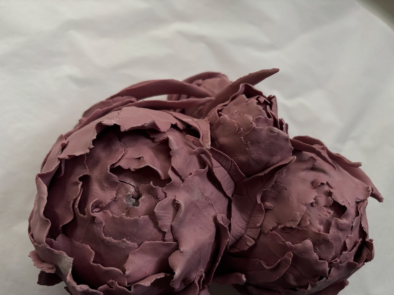 Pivoines pourpres