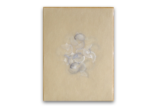 Poem R2624
