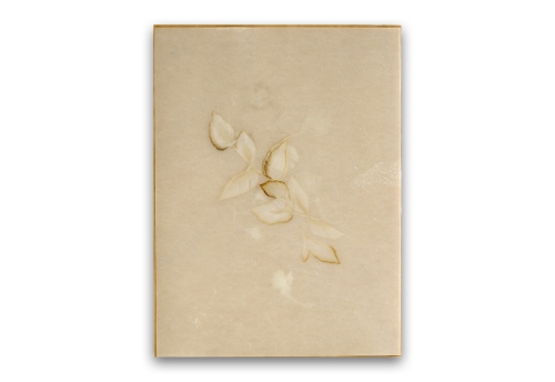 Poem R2625