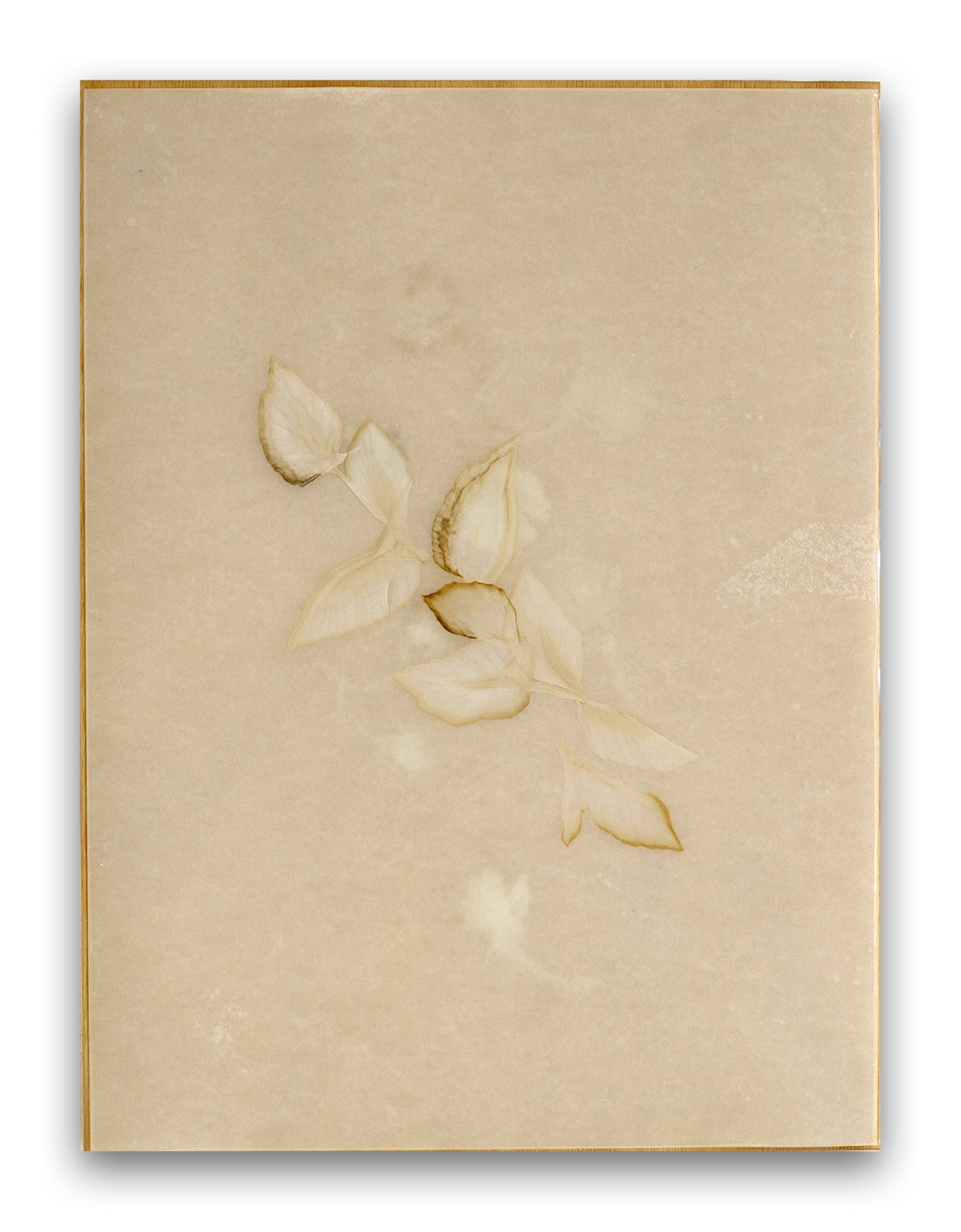 Poem R2625