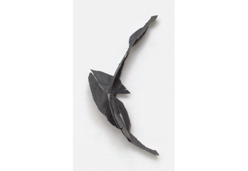 Branche du rêve II