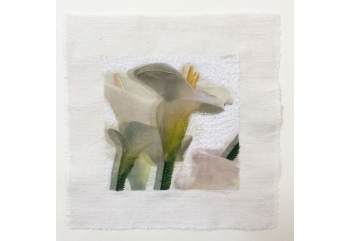 Calla Lilies I
