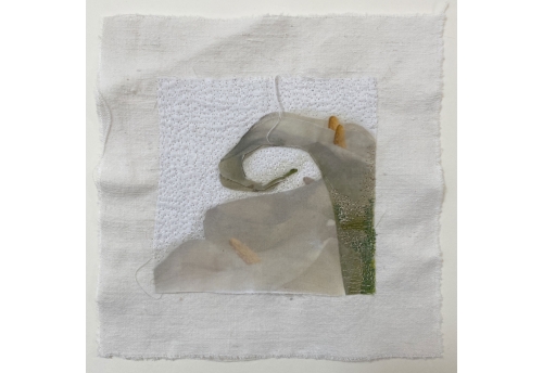 Calla Lilies III
