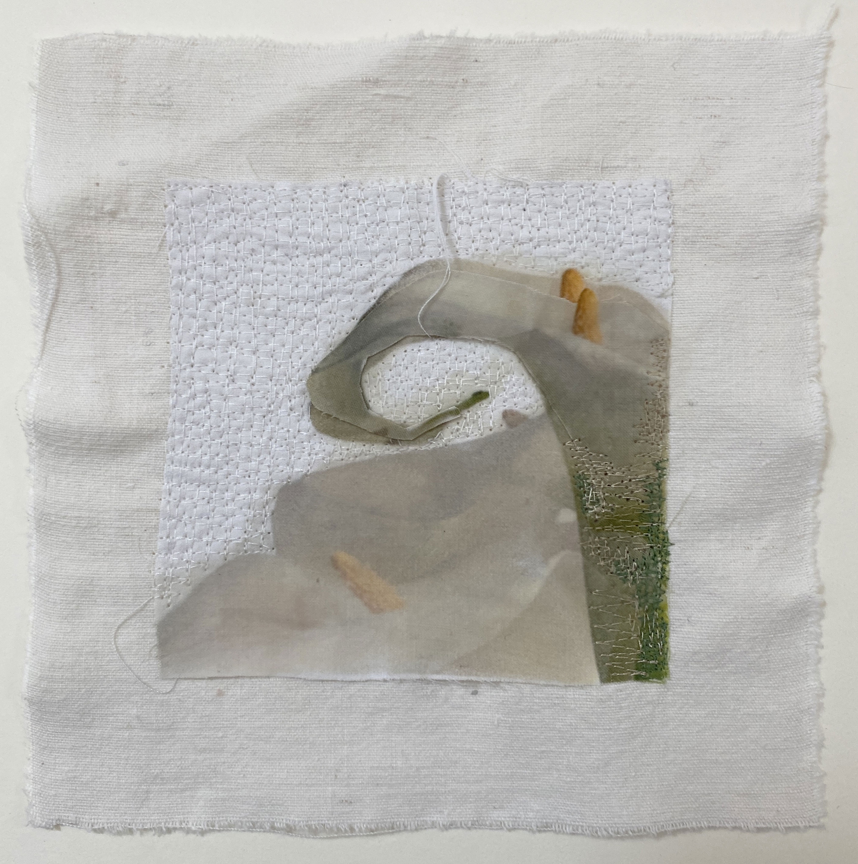 Calla Lilies III