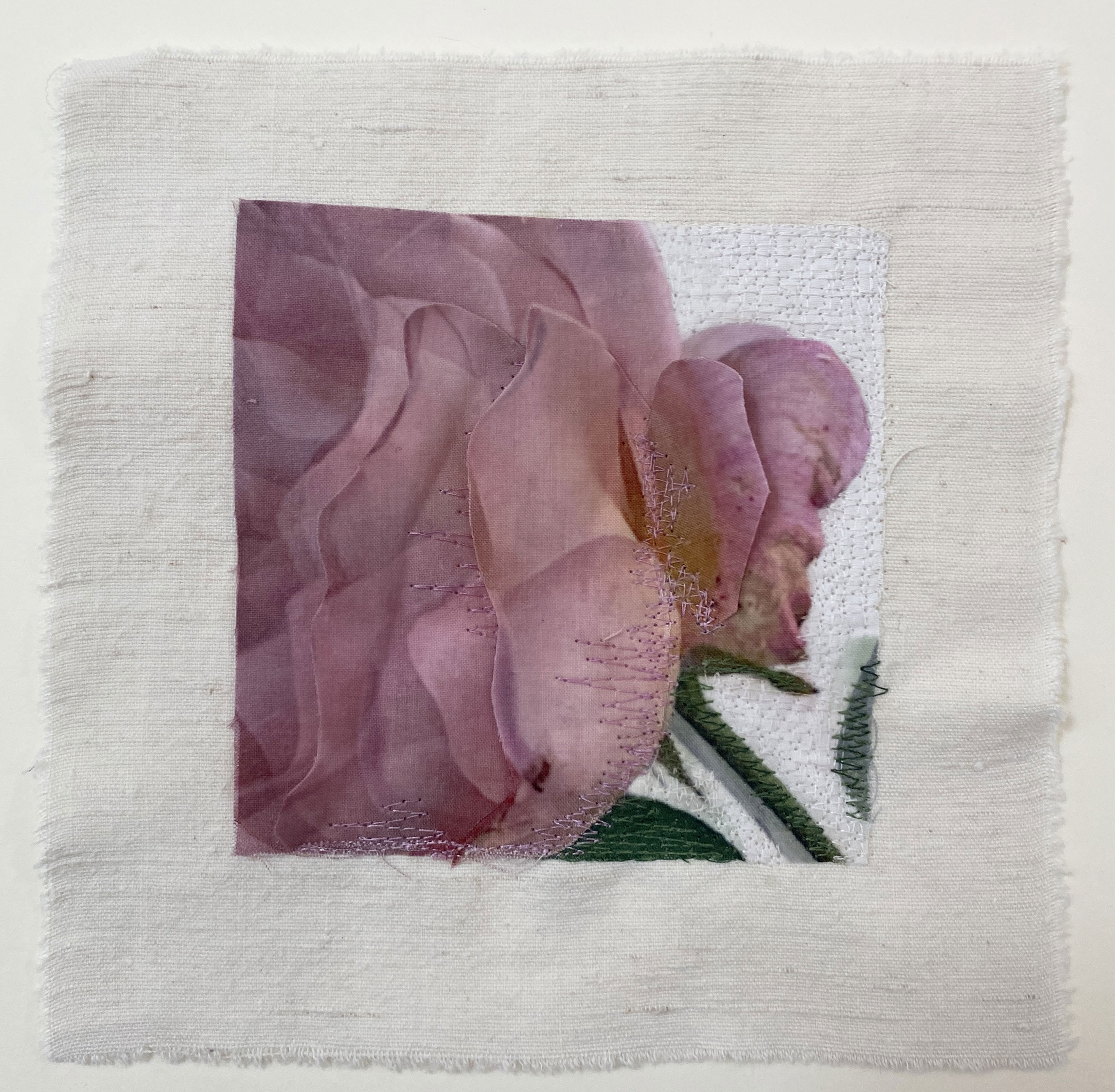 Yesterday's Rose I