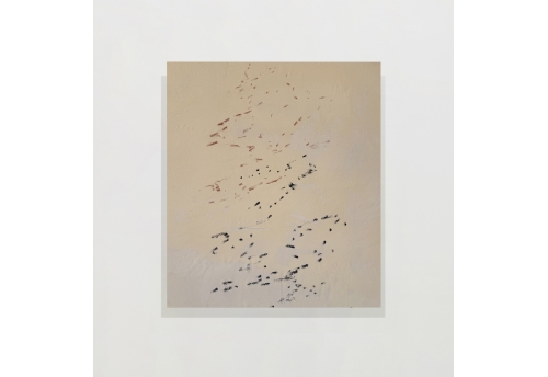 Untitled 40