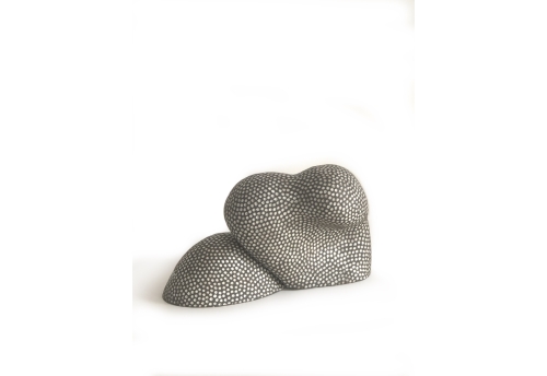 Clapotis