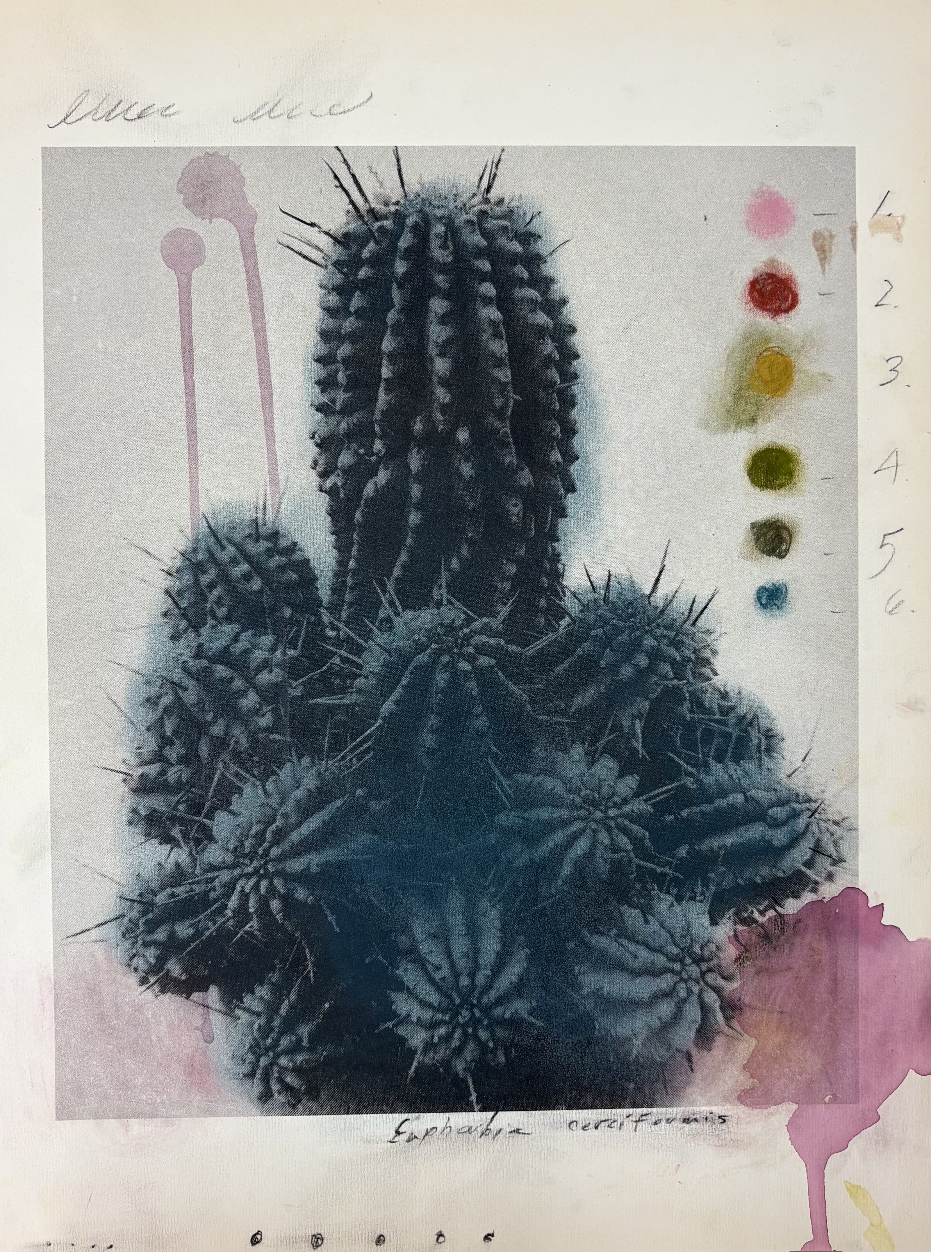 Plant Life 2
