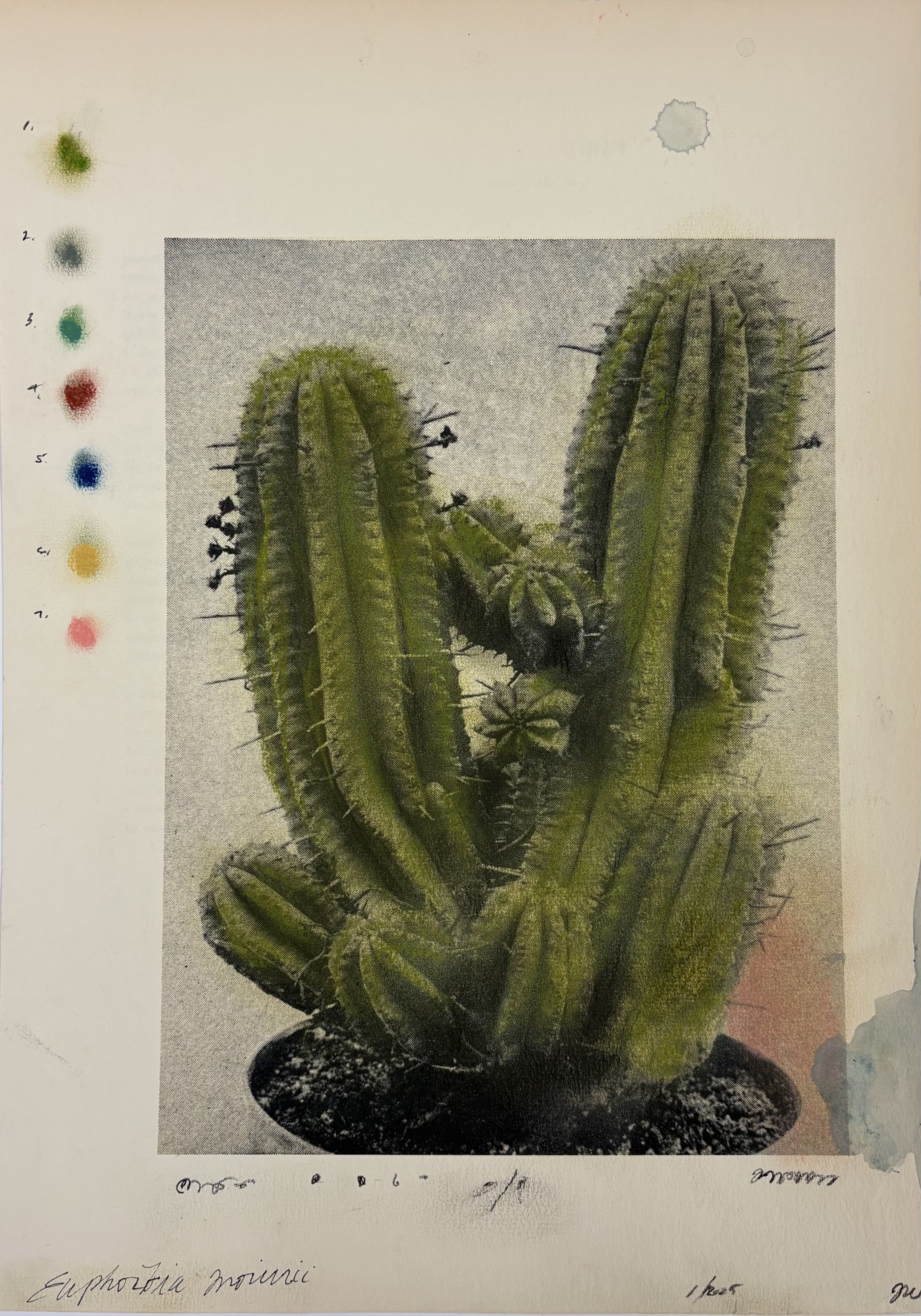 Plant Life