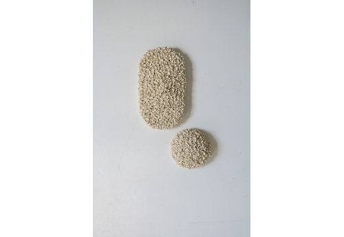 Umbel