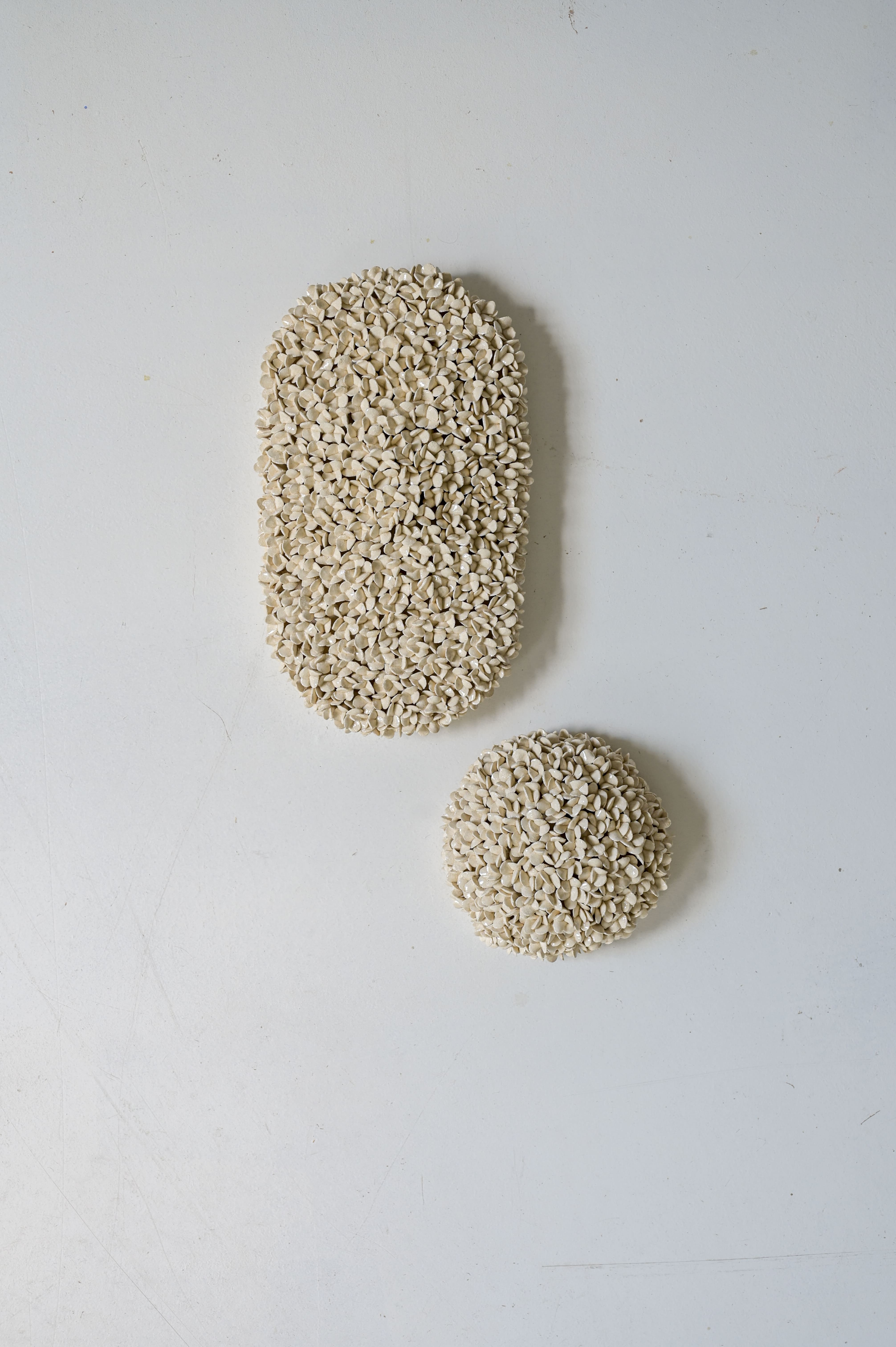 Umbel
