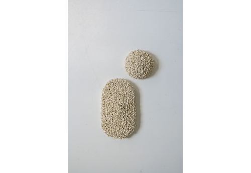 Umbel