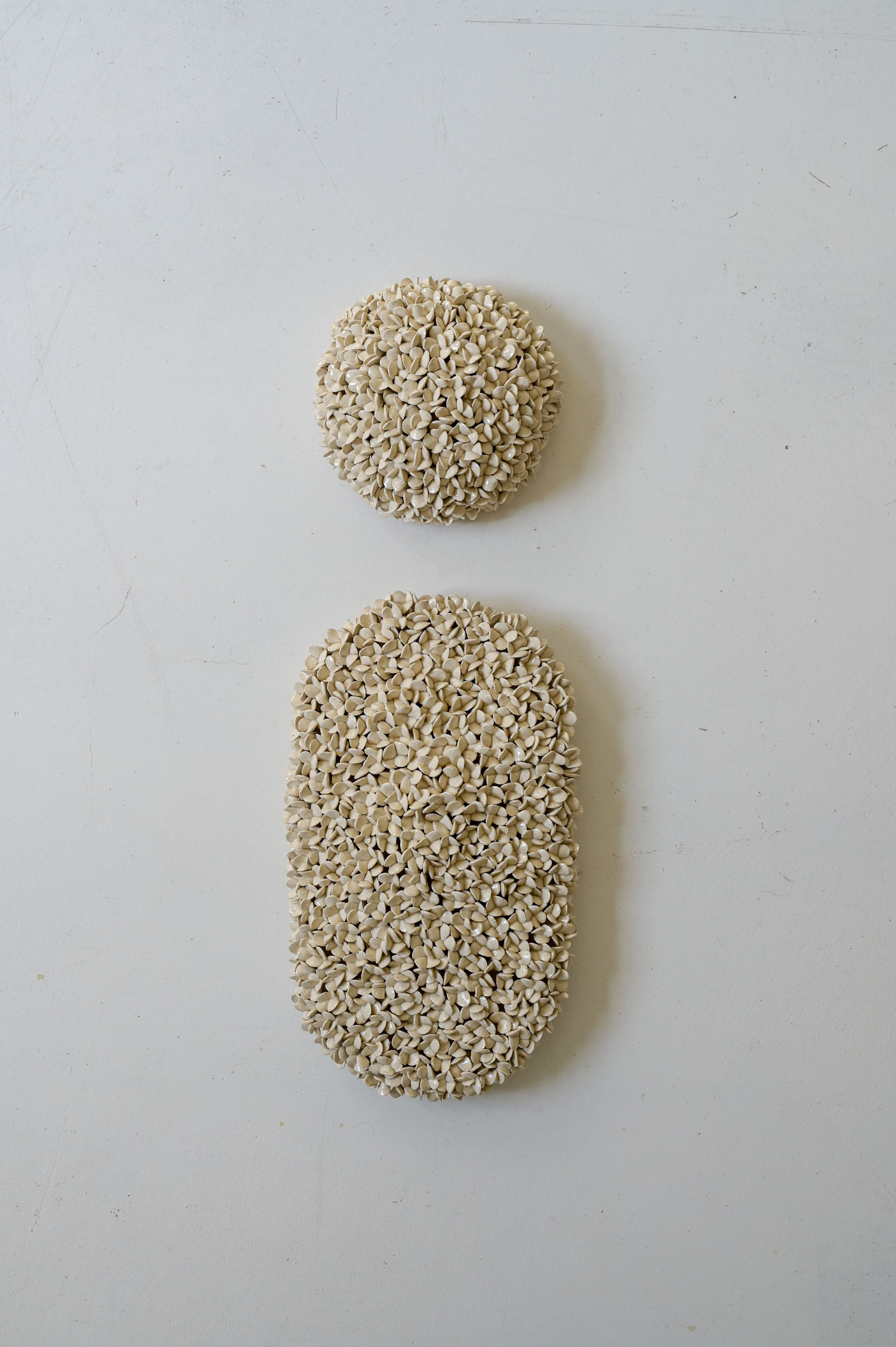 Umbel