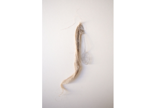 Fibres de lin - Cuillère à soupe