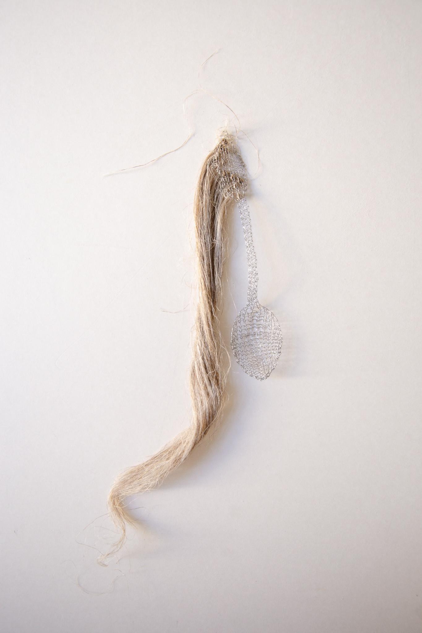 Fibres de lin - Cuillère à soupe