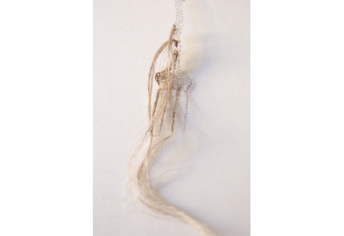 Fibres de lin - Fourchette