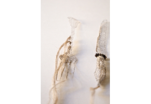 Fibres de lin - Couteau