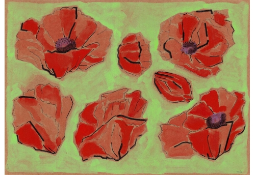 Coquelicots 21169