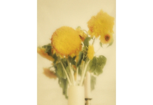 Fleurs 3