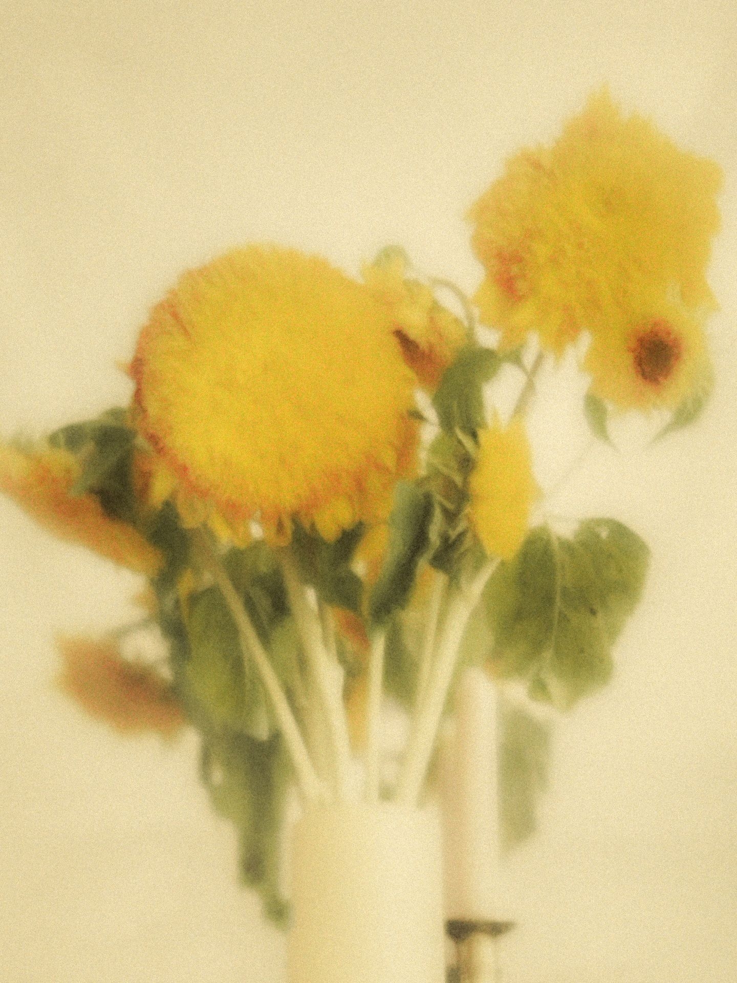 Fleurs 3