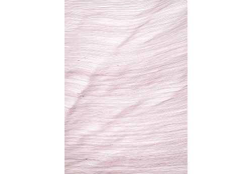 Fabienne Jousse on Zeuxis