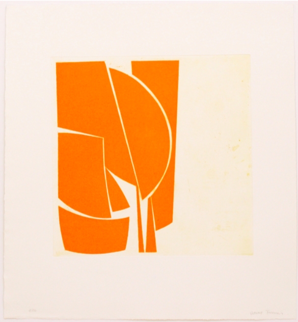 Cover 1 Orange