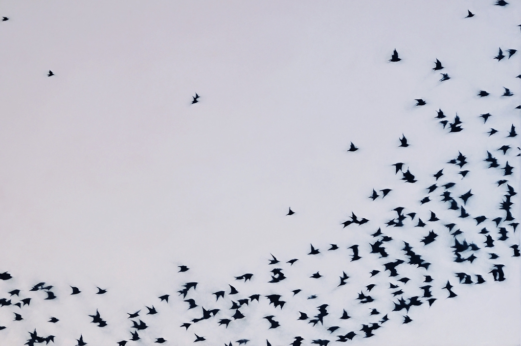 05600 Flight