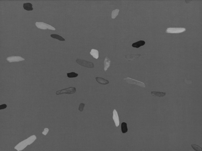 Max Cobalto - Artiste AMELIE paris