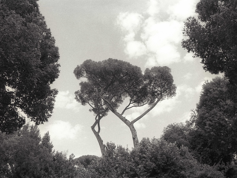 Charlotte Bovy produit #2 - Artiste AMELIE paris