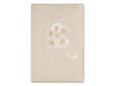 Christine Brunella produit #2 - Artiste AMELIE paris