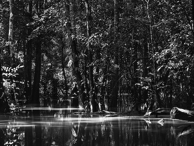 Ludovic Carème produit #2 - Artiste AMELIE paris