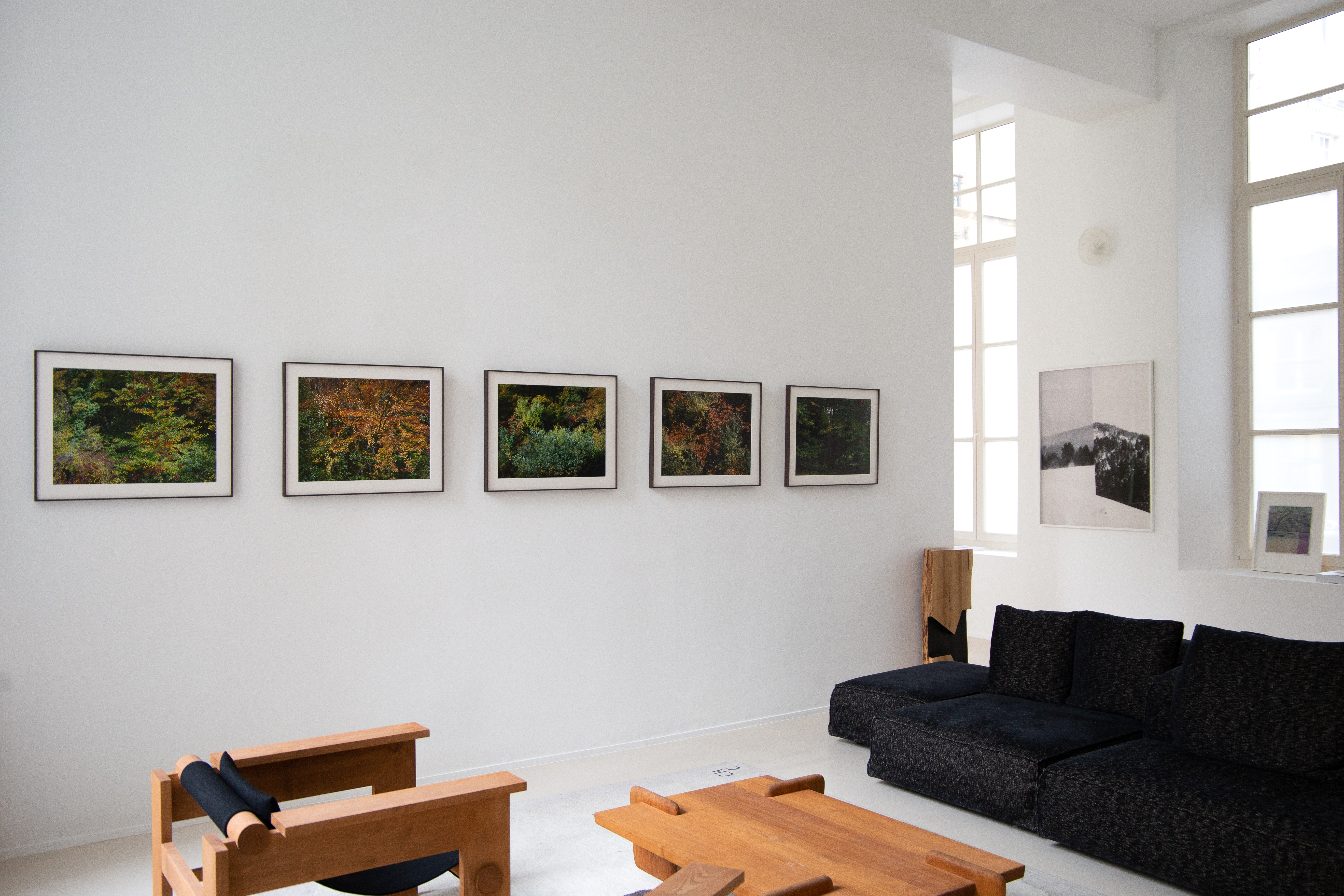 FORÊT D'AUTOMNE ROUGE IV