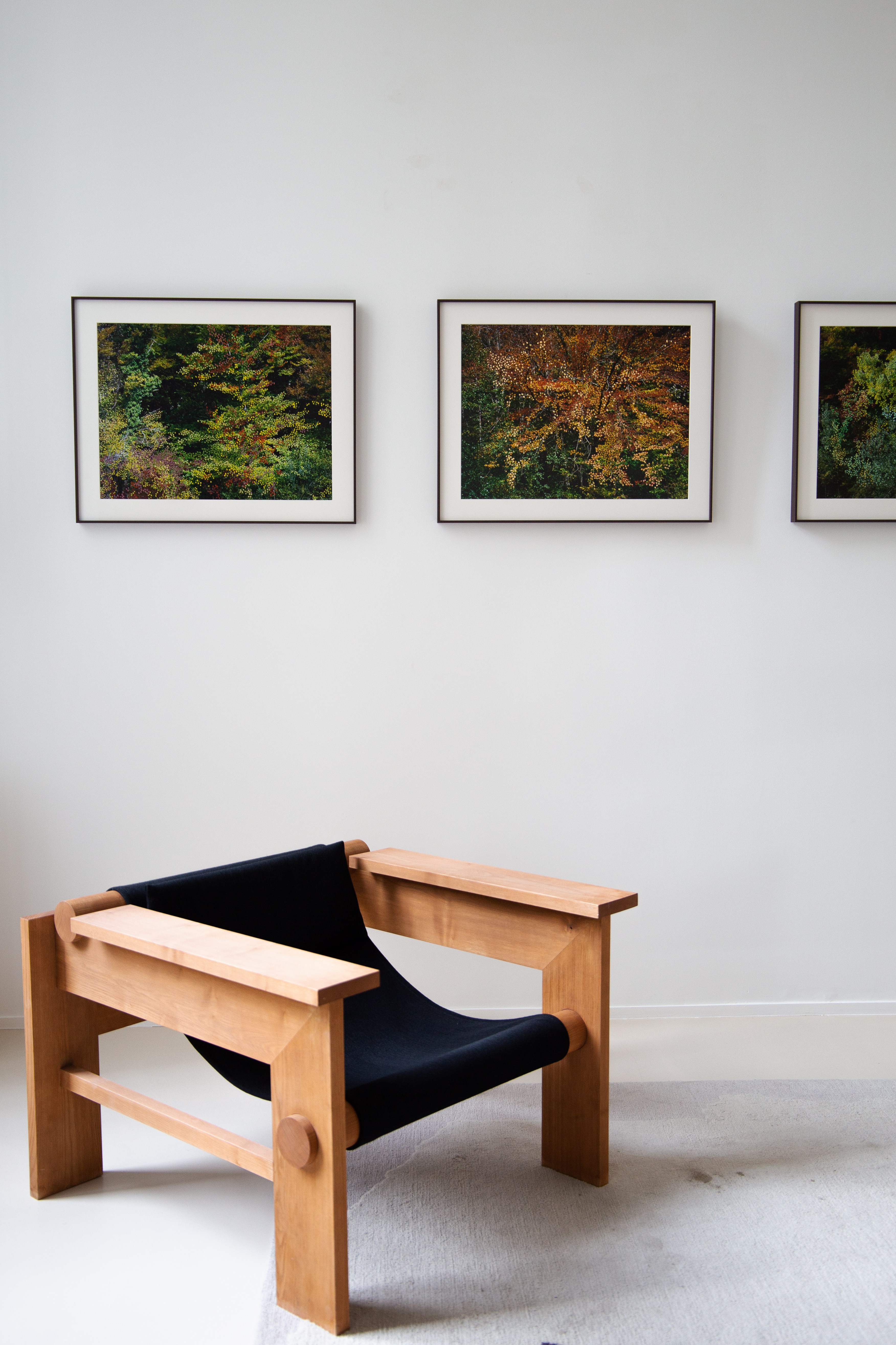 FORÊT D'AUTOMNE ROUGE IV