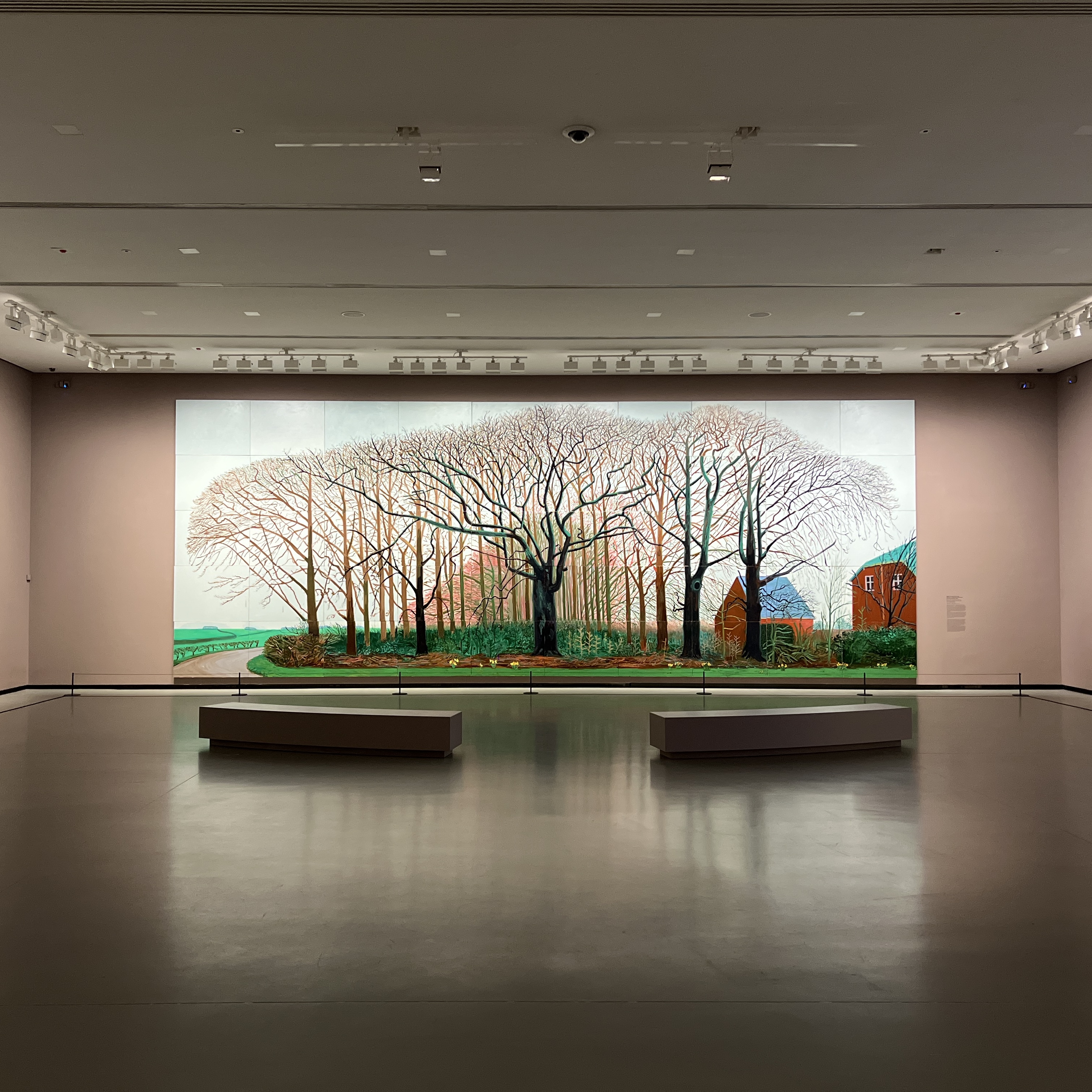 David Hockney 25 : sept décennies de création à l’honneur