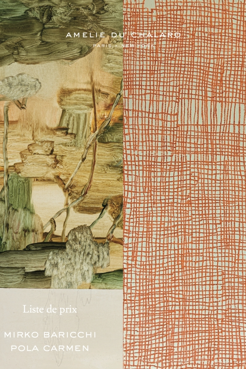 Catalogue d'exposition Mirko Baricchi et Pola Carmen 